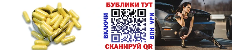 мега ССЫЛКА  Сорск  сайты даркнета состав  Ecstasy диски 