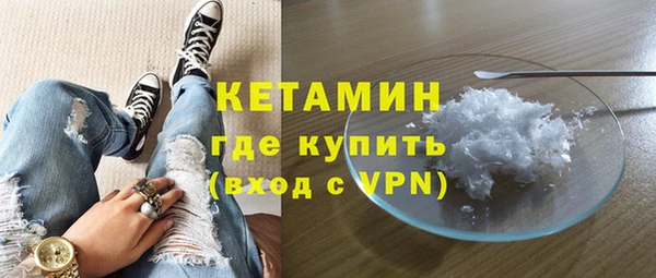 прущие грибы Лабытнанги