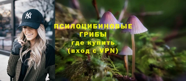 метадон Арсеньев