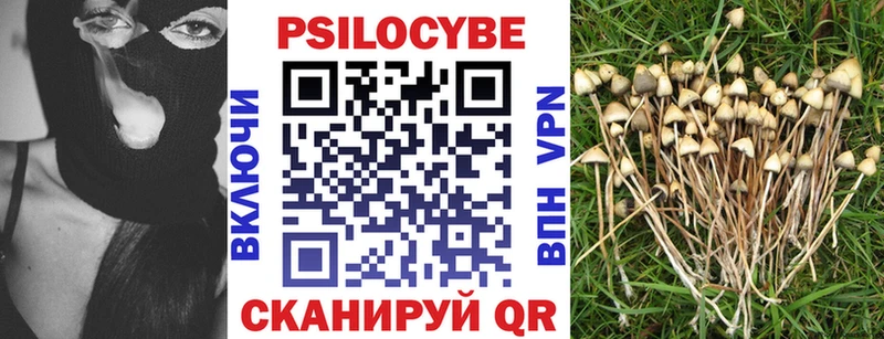 Псилоцибиновые грибы ЛСД  mega как войти  Сорск 